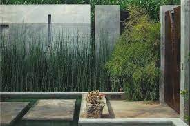 The common variety of horsetail reed is a popular ornamental grass for water gardens and moist areas of lawns. Horsetail Plant An Eco Friendly Way To Add Beauty And Structure To Your Garden