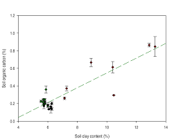 Image result for Megaloprotachne albescens