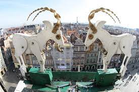 Gala koziołki i matołki 2018 w xv lo w poznaniu z okazji dnia edukacji narodowej. Co Zobaczyc W Poznaniu Podczas Euro 2012 Poland Travel Poland Country Poland