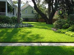 It's that time of year again, shade sod season! Choosing The Right Grass For Shade Sod University Sod Solutions