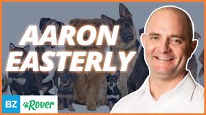 Rover.com: Airbnb for Dogs & Cats