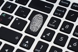 Despite bitcoin being designed with a limited supply of 21 million coins, cane island estimates that a maximum of only 14 million bitcoin will ever circulate due to the rate at which coins are lost. Best Anonymous Bitcoin Exchanges No Kyc