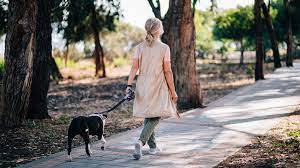 Oct 08, 2020 · typically, adults walk at a speed of 3 to 4 miles per hour, and therefore walk a mile in. Walking 10 Miles A Day Calories Burned And Weight Loss