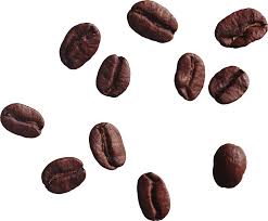 Coffee Beans Coffee Beans Local Coffee Shop Beans