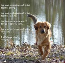I Will Always Always Love You Dogs Dog Love Animals