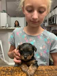 Thank you to all who shared and helped find homes