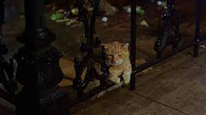 Maybe you would like to learn more about one of these? Breakfast At Tiffany S Cat S Best Bits Complete Hd Youtube