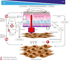 omalizumab in children with uncontrolled allergic asthma