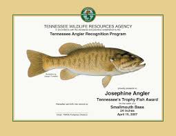 tennessee angler recognition program