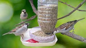 water bottle bird feeder homemade easy bird feeder craft plastic bottle recycling youtube homemade bird feeders diy bird feeder bird feeder craft