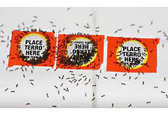 Terro is an effective ant killer that doesn't harm pets. Faq S Is Ant Killer Safe For Pets How Does Borax Kill Ants