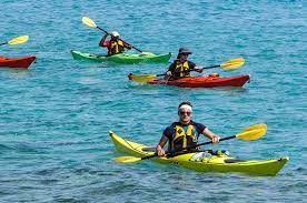 Olahraga adalah salah satu kebutuhan di dalam kehidupan kita, dengan berolahraga. Mengenal Ragam Olahraga Air Yang Ada Di Asian Games 2018 Yuk Semua Halaman Bobo