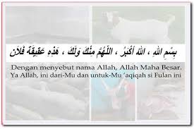 5.1 menjelaskan tatacara penyembelihan hewan 5.2 menjelaskan ketentuan aqiqah dan qurban 5.3 memperagakan cara penyembelihan 8. Cara Aqiqah Mudah Berbudaya Dan Syar I Solehaqiqah