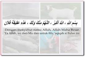 Perbedaan yang paling mencolok antara aqiqah dan qurban adalah pada jumlah dan jenis hewan yang disembelih. Cara Aqiqah Mudah Berbudaya Dan Syar I Solehaqiqah