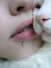Kitteh Lip Piercing Labret Piercing Face Piercings