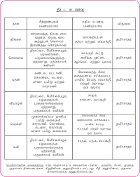 Food Chart For Babies In Tamil Baby Care Tips 4 Months