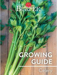 Check spelling or type a new query. Tfnkieuedsxmam