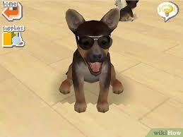 Go to the main menu on nintendogs. How To Teach Your Nintendogs Tricks With Pictures Wikihow