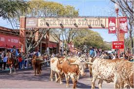 Fort worth stockyards cattle drive. 19 Facts You Didn T Know About The Fort Worth Herd