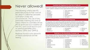 California cannabis may contain pesticides. Pesticides And Cannabis Ppt Download