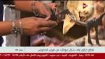 قطع ديكور على شكل حيوانات