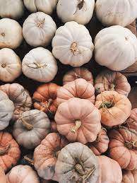 Pin By Adriana On Wallpapers Pumpkin Wallpaper Iphone Wallpaper Fall October Wallpaper