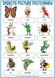 In this animated video, kids can learn about different type of bugs, anatomy of insects and difference between arachnids and insects. Insects Esl Vocabulary Worksheets