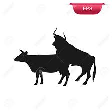 Cow And Bull Sex, Farm Animals, Icon, Vector Illustration Royalty Free SVG,  Cliparts, Vectors, and Stock Illustration. Image 59808429.