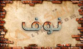 معنى اسم نوف في المعجم العربي كثير من الآباء يبحثون عن لسماء جديدة للفتاة وذلك في ظل ظهور العديد من الأسماء الحديثة غريبة النطق والمعنى فإن School Calli