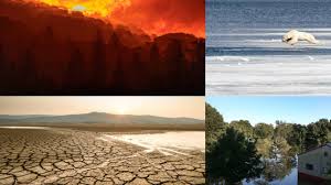 Cambio climático, calentamiento global y efecto invernadero. Llamado Urgente Para Contrarrestar Cambio Climatico Noticieros Televisa