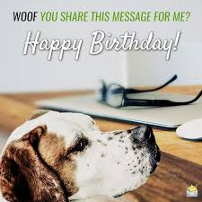 Cute Animals And Funny Happy Birthday Wishes Funny Happy Birthday Wishes Birthday Wishes Funny Happy Birthday Wishes