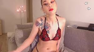 b00berry Chaturbate Archive Cam videos & Private Premium Cam Clips at  2023-04-12