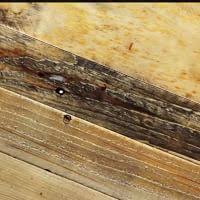 Maybe you would like to learn more about one of these? Emmerson Reclaimed Wood Dining Bench Stone Gray