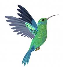 Weitere ideen zu kolibri tattoo, kolibri tattoo klein, kolibri. Kolibri Logo Design Vektor Vorlage Premium Vektor