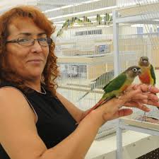 Emprendió el 'vuelo' vendiendo pájaros en Phoenix