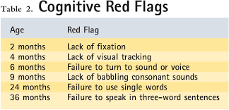 Image result for Developmental Red Flags