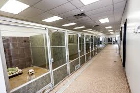 Plus millions of rooms from hotels, resorts, apartments and hostels skyscanner hotels is a fast, free and simple way to organize your stay near chow hound pet supplies. Pet Hotel Near Me The Y Guide