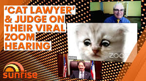Ferguson had a laugh over the kitten court catastrophe and praised all lawyers involved. Viral Cat Lawyer And Texas Judge Explain Feline Zoom Fail 7news Youtube