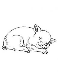 Sleeping Baby Pig Coloring Page Free Printable Coloring Pages Baby Pigs Pig Tattoo Pig Art