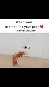 Brother and sister joke 2 a scoutmaster asked one of his troop what good deed he had done for the day. Brother And Sister Jokes Love You Bro Brother And Sister Jokes Brother And Sister Jokes My Status Video Rachna Rachu Sharechat Funny Romantic Videos Shayari Quotes