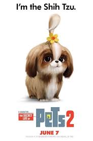 Ver Pelicula Completa Secret Life Of Pets The Secret Secret Life