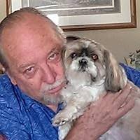 Box Turtles (Complete Herp Care) by Tess Cook