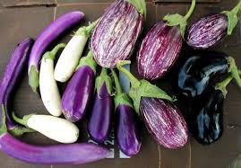 Melanzane a funghetto in bianco, contorno o antipasto che si può servire sia tiepido che freddo per accompagnare piatti di carni bianche oppure pesce. Come Cucinare Le Melanzane Misya Info