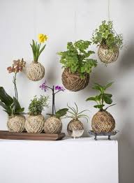 Orchidee, bromelie, piante carnivore, bonsai, piante grasse e succulente ed altre ancora! Kokedama Giapponesi Fotogallery Page 17 Contenitori Per Piante Grasse Appendere Le Piante Piante Da Interno
