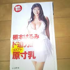 根本はるみ 切り抜き 約78ページ