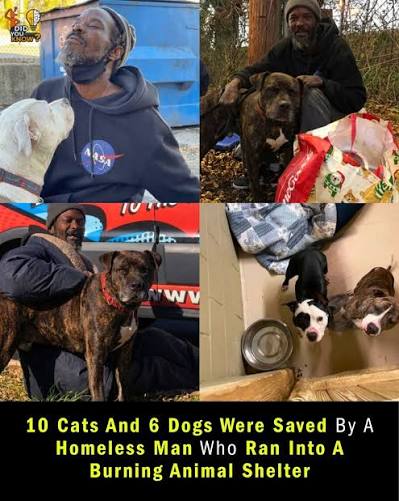 Did - Keith Walker of Atlanta showed incredible courage when he saw an  animal shelter on fire while heading to pick up his own dog. Without  thinking twice, the 53-year-old ran into