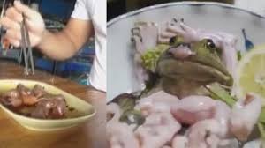 The site owner hides the web page description. People Eating Live Animals Compilation Disgusting Foods Easy Ethnic Recipes