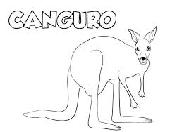 Colorear Dibujo Canguro Para Imprimir Colorear E Imprimir