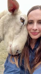 We love you Harry! ❤️🐑 #friendsnotfood #farmsanctuary #animalrescue #sheep  #animalsanctuary #love #kindness #edgarsmission