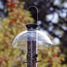 Bird Feeder Rain Guard Rain Guard Bird Feeders Bird Food Birds Bird Feeders